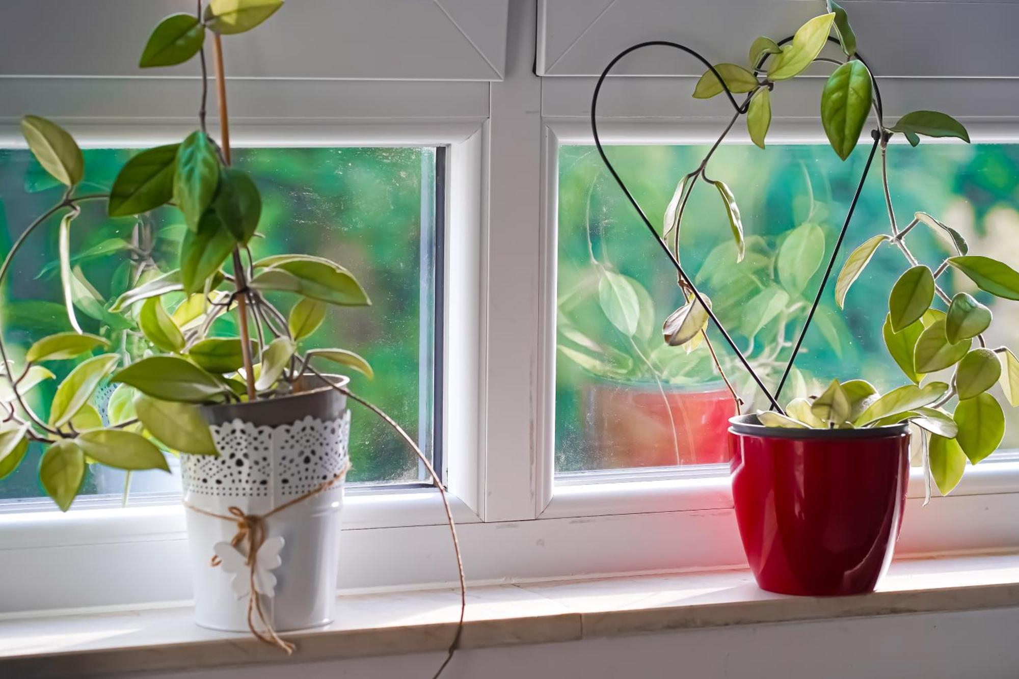 Moderne 3-Zimmer-Wohnung Im Herzen Von Darmstadt - Zentrale Lage, Komfort & Wlan Exteriör bild